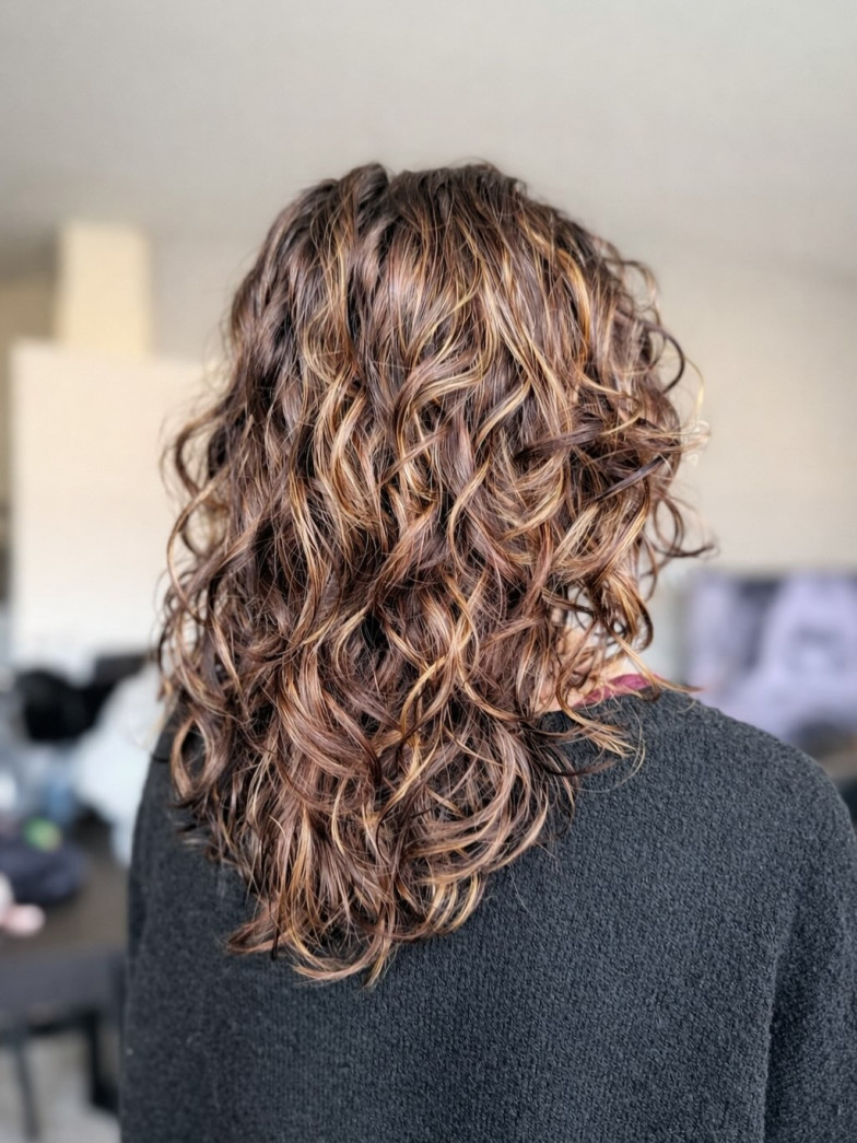 Krullenkapper Geel, Antwerpen